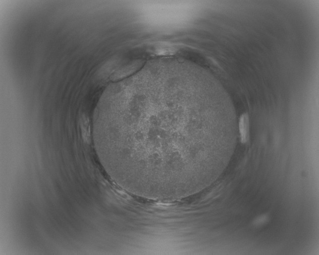 X0000054371443200508121528