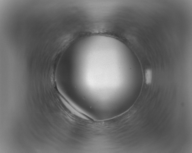 X0000054371444200508121528