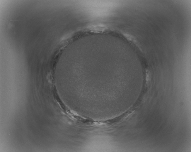 X0000054371445200508121528