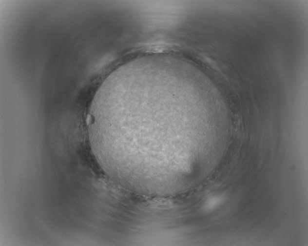 X0000054371446200508121528