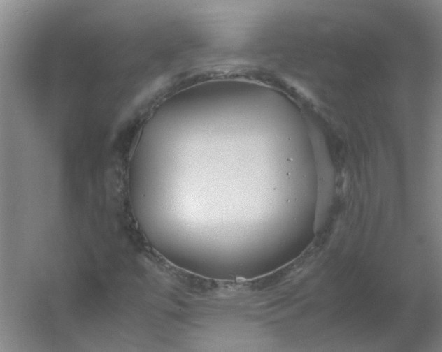 X0000054371447200508121528