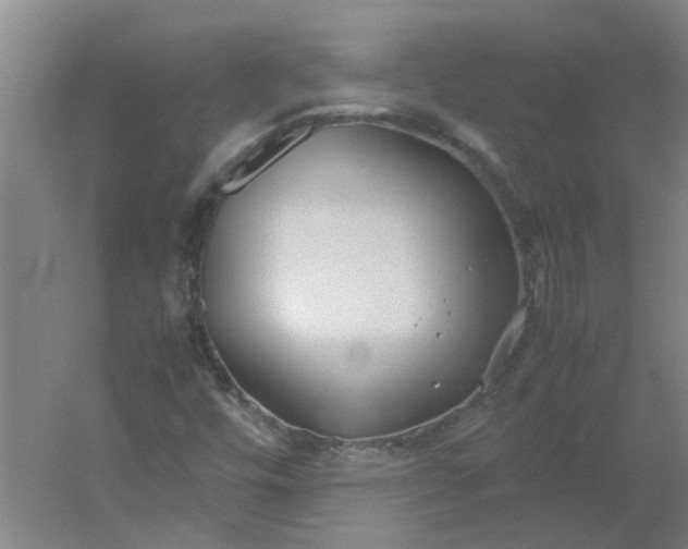 X0000054371448200508121528