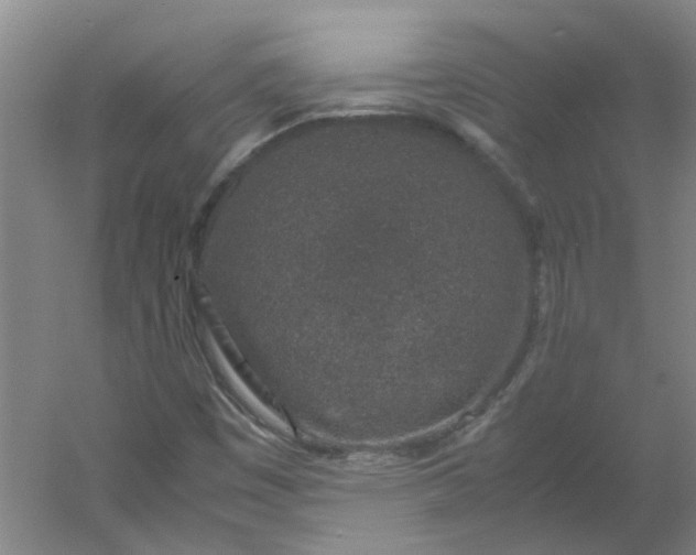 X0000054371449200508121528