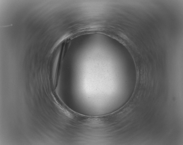 X0000054371450200508121528