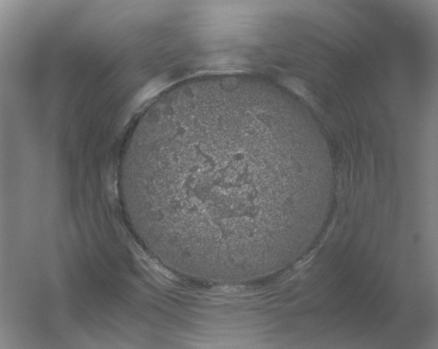 X0000054371451200508121528