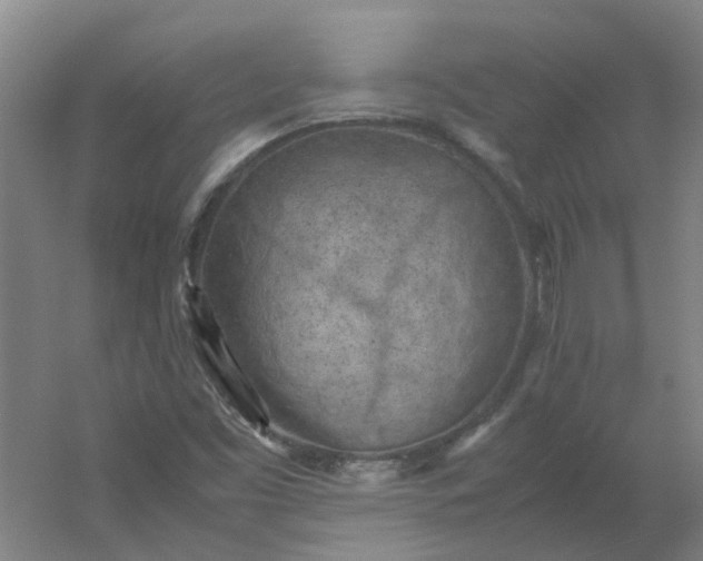 X0000054371453200508121528