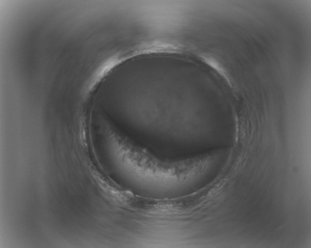 X0000054371455200508121527