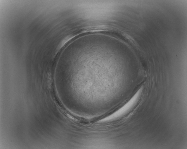 X0000054371457200508121527