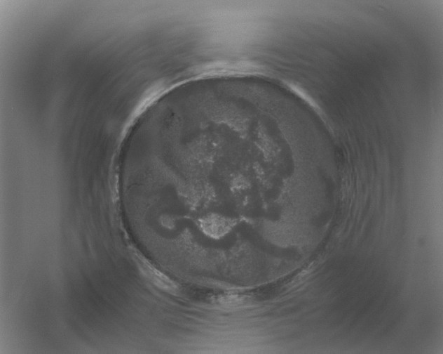 X0000054371459200508121527