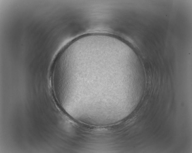 X0000054371462200508121527