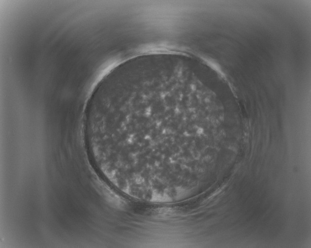 X0000054371463200508121527