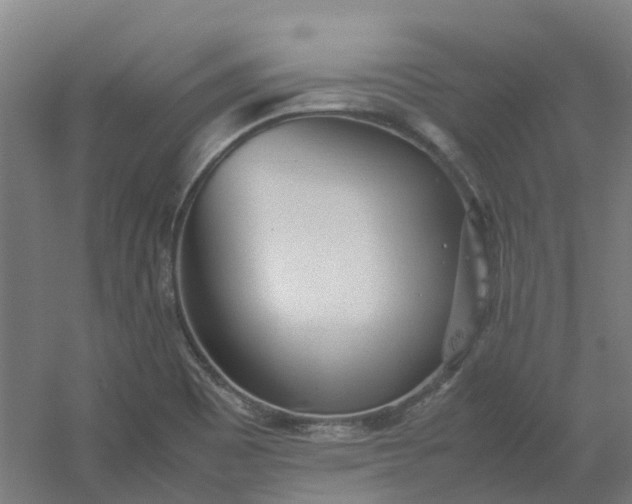 X0000054371465200508121527