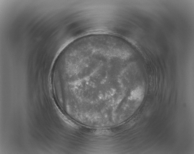 X0000054371466200508121527