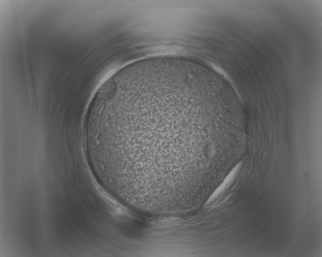 X0000054371467200508121527