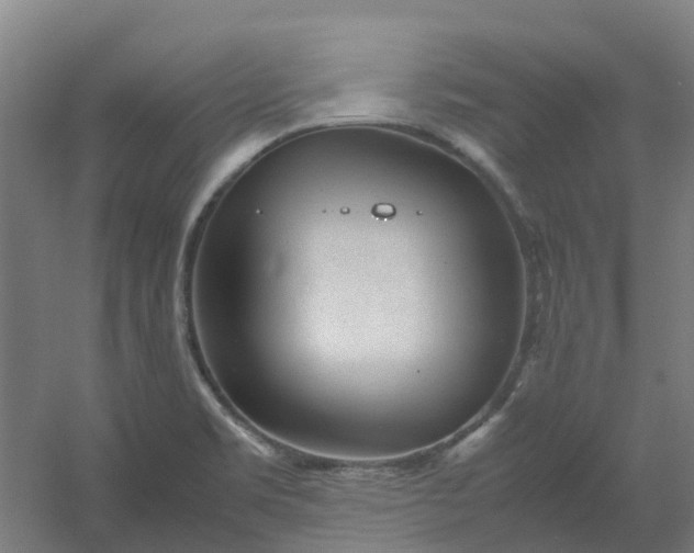 X0000054371469200508121527