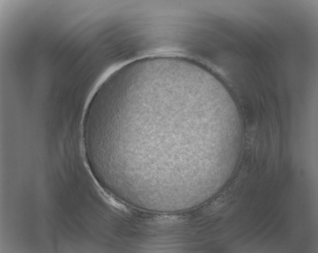 X0000054371470200508121527