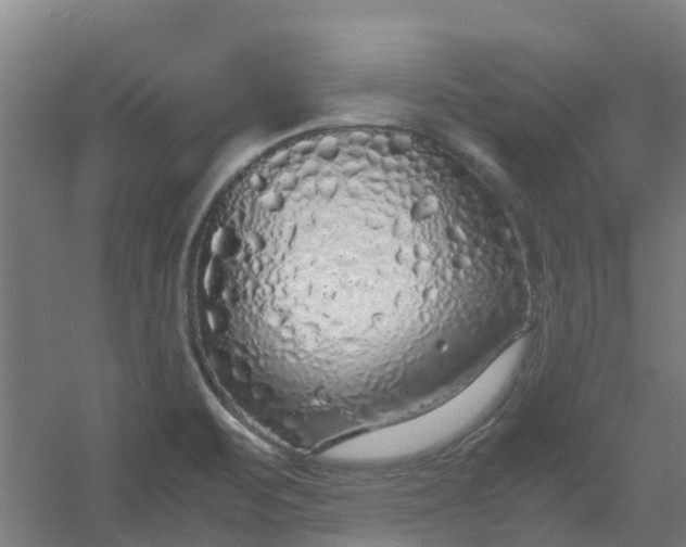 X0000054371471200508121527