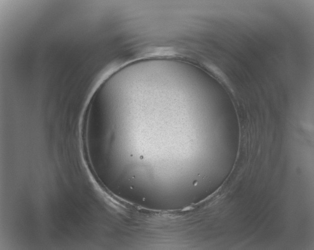 X0000054371475200508121527