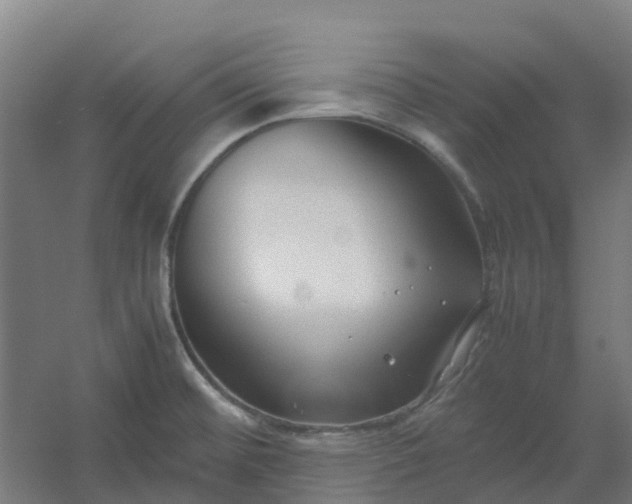 X0000054371476200508121527