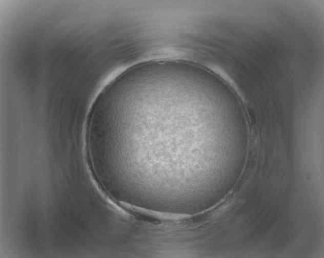 X0000054371477200508121527