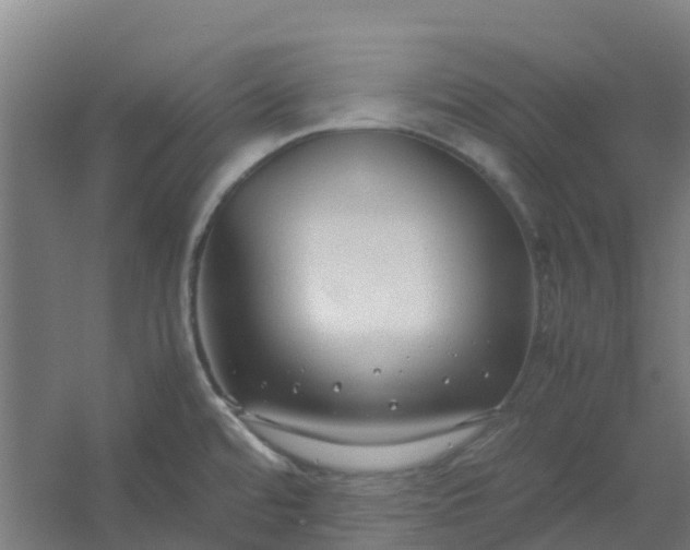 X0000054371480200508121527