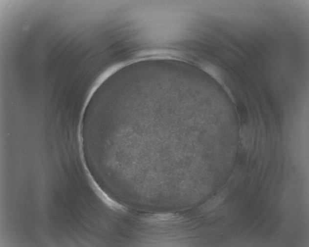 X0000054371482200508121527