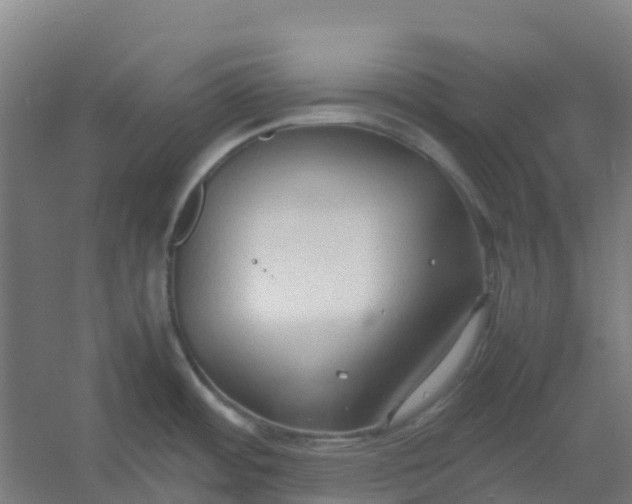 X0000054371484200508121527