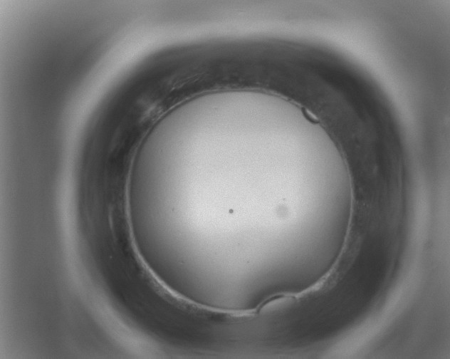 X0000054371487200508121527