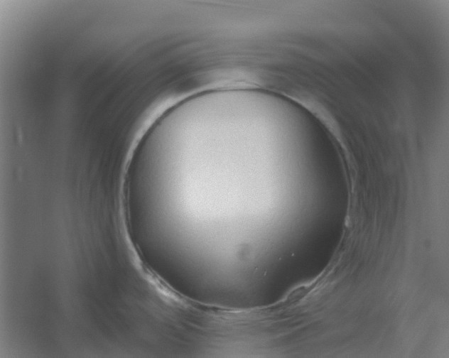 X0000054371488200508121527