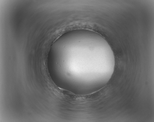 X0000054371489200508121526