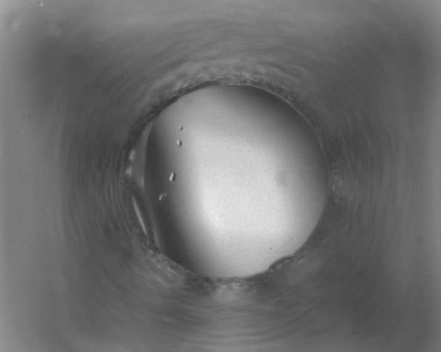 X0000054371490200508121526