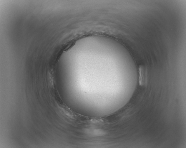 X0000054371491200508121526