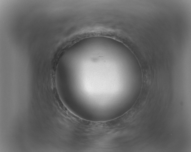 X0000054371493200508121526