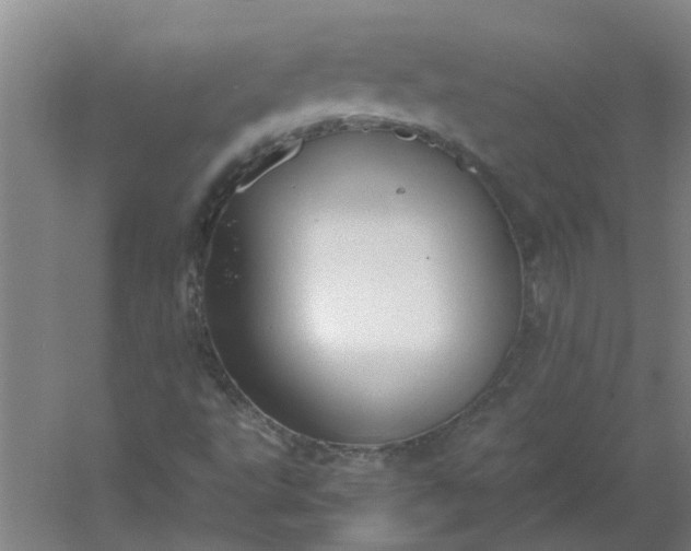 X0000054371495200508121526