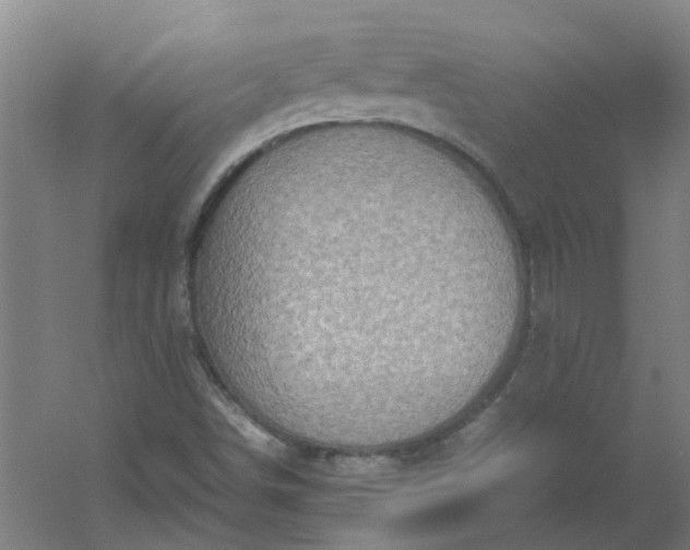 X0000054371498200508121526