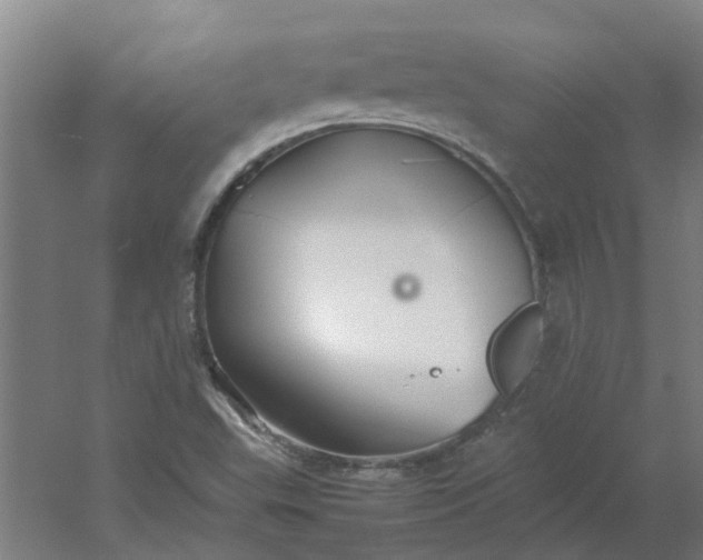 X0000054371503200508121526