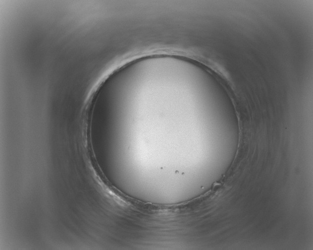 X0000054371504200508121526