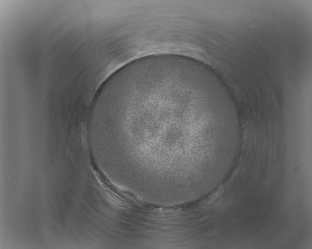 X0000054371505200508121526