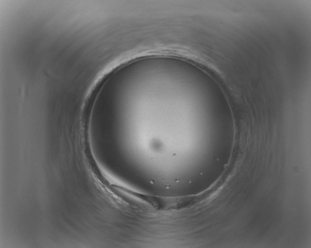 X0000054371506200508121526