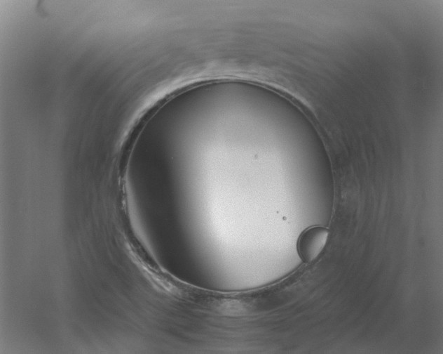 X0000054371507200508121526