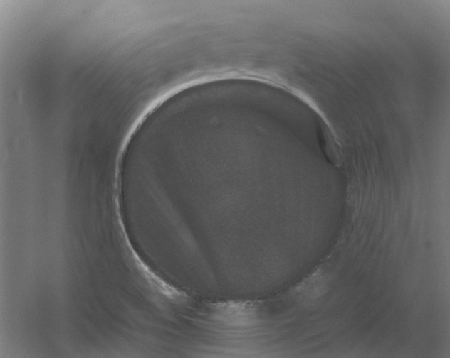 X0000054371508200508121526