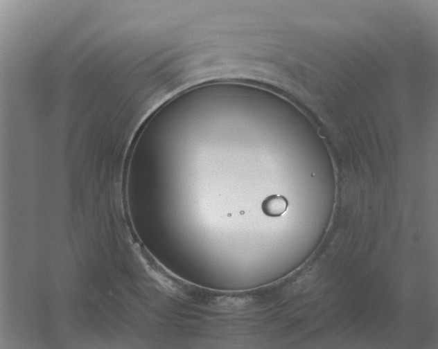 X0000054371513200508121527