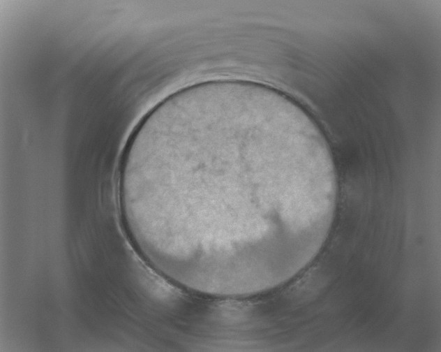 X0000054371514200508121527