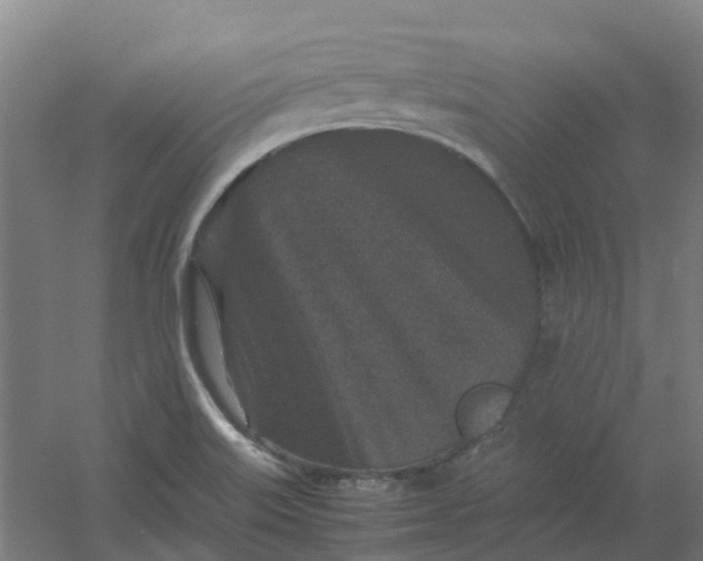 X0000054371515200508121527