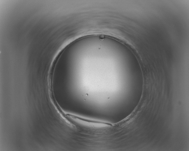 X0000054371517200508121527