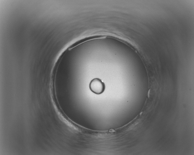 X0000054371518200508121527