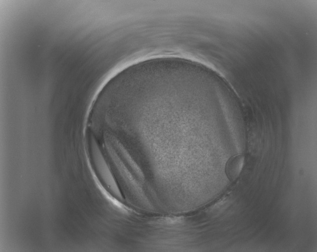 X0000054371519200508121527