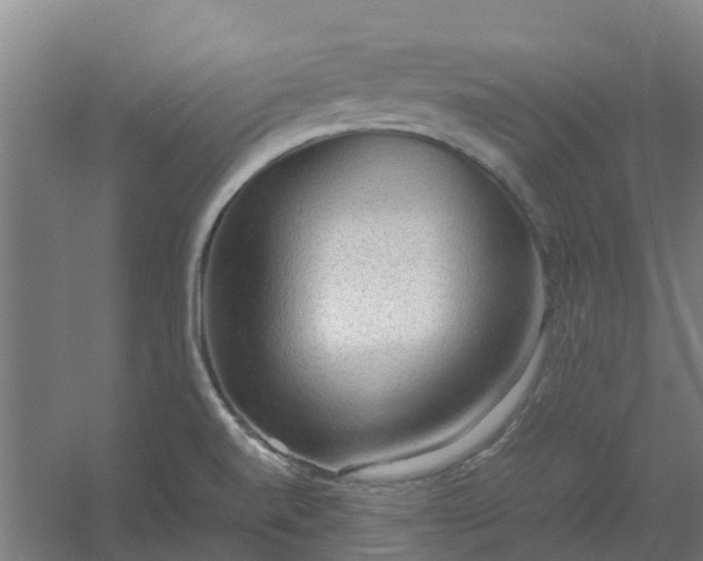 X0000054371520200508121527