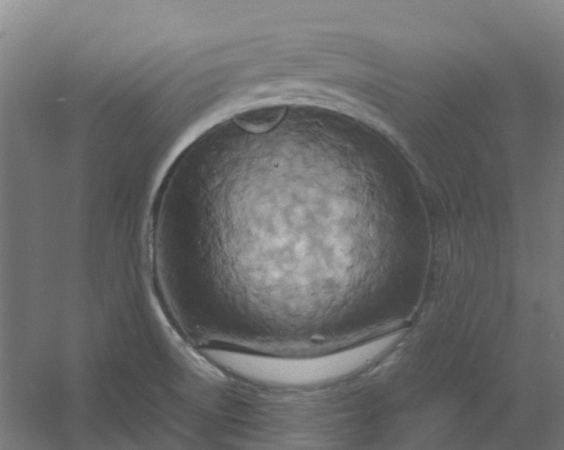 X0000054371522200508121527