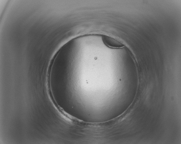 X0000054371525200508121527